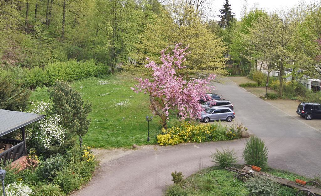 Landhotel Burkartsmühle Hofheim am Taunus Exterior foto